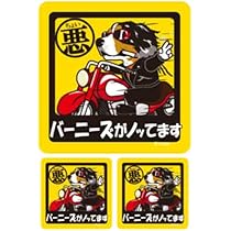 Amazon.co.jp: inuya バーニーズマウンテンドッグ シール